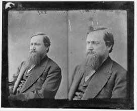 Mark Hill Dunnell of Minnesota, between 1865 and 1880. Creator: Unknown.