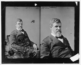 James Williams of Delaware, 1865-1880. Creator: Unknown.