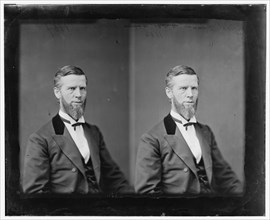 William A. Wallace of Pennsylvania, 1865-1880. Creator: Unknown.