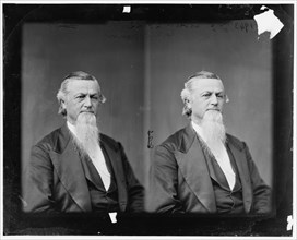 George Gibbs Dibrell of Tennessee, c.1865-1880.  Creator: Unknown.