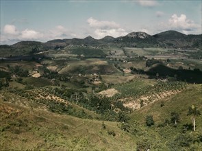 Small farms in the hills, vicinity of Corozal, Puerto Rico, 1941. Creator: Jack Delano.
