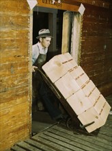 Loading oranges into refrigerator car at a co-op orange packing plant, 1943. Creator: Jack Delano.