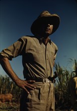 Man in a sugar-cane field during harvest, vicinity of Rio Piedras? Puerto Rico, 1941 or 1942. Creator: Jack Delano.