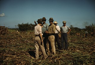 Sugar cane workers resting, Rio Piedras, Puerto Rico, 1941. Creator: Jack Delano.