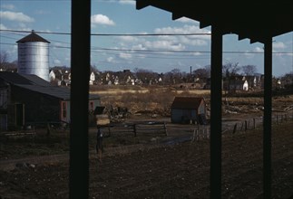 Small farm of John P. Collins, Taunton, Mass., 1941. Creator: Jack Delano.