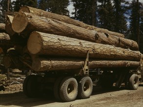 Truck load of ponderosa pine, Edward Hines Lumber Co. operations..., Grant County, Oregon, 1942. Creator: Russell Lee.