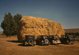 Hay stack and automobile of peach pickers, Delta County, Colorado, 1940. Creator: Russell Lee.