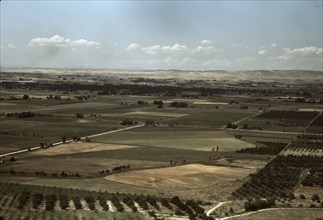 Cherry orchards and farming land, Emmett, Idaho, 1941. Creator: Russell Lee.