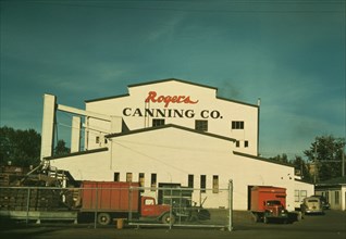 Canning plant where peas are principal project, Milton-Freewater, Oregon, 1941. Creator: Russell Lee.