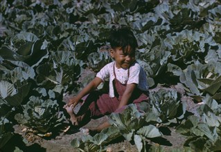 Child of a migratory farm laborer in the field during the harvest..., FSA labor camp, Tex., 1942. Creator: Arthur Rothstein.