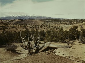 Landscape, Northeast Utah, 1942. Creator: John Vachon.