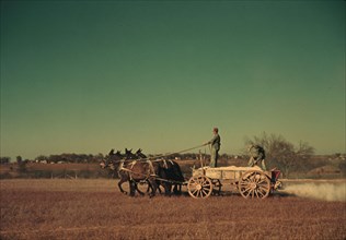 Spreading fertilizer from 4-mule team wagon, Georgia, ca. 1940. Creator: Marion Post Wolcott.