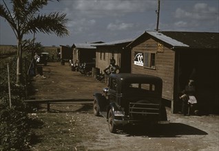 Houses which have been condemned by the Board of Health..., Belle Glade, Fla., 1941. Creator: Marion Post Wolcott.