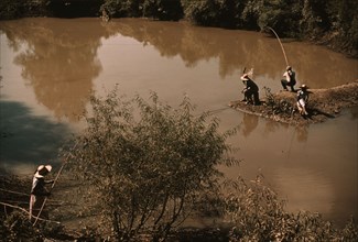 Negroes fishing in creek near cotton plantations outside Belzoni, Miss., 1939. Creator: Marion Post Wolcott.
