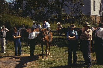 Mountaineers and farmers trading mules and horses on "Jockey St.,", Campton, Wolfe County, Ky., 1940 Creator: Marion Post Wolcott.
