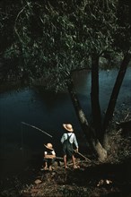 Boys fishing in a bayou, Schriever, La., 1940. Creator: Marion Post Wolcott.