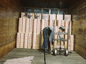 Loading oranges into a refrigerator car at a co-op orange packing plant, Redlands, Calif., 1943. Creator: Jack Delano.