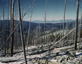 Sangre de Cristo Mountains, looking north into Colorado, 1943. Creator: John Collier.