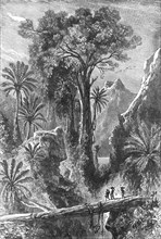 'On the Road to Tananarivo; Recent Explorations in Madagascar', 1875. Creator: Alfred Grandidier.