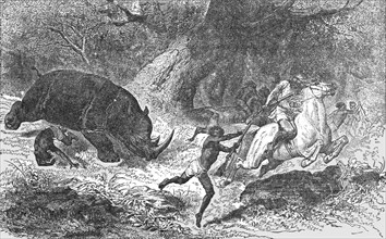 'Charge of the Black Rhinoceros; Life in a South African Colony', 1875. Creator: Unknown.