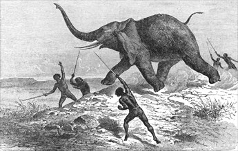 'Collecting Ivory; Life in a South African Colony', 1875. Creator: Unknown.