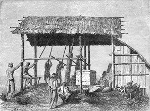 'Dyaks Building a House; A Visit to Borneo', 1875. Creator: A.M. Cameron.