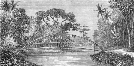 River Scene, Borneo; A Visit to Borneo', 1875. Creator: A.M. Cameron.