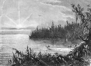 'Scene upon the St. John's, Florida; A Flying Visit to Florida', 1875. Creator: Thomas Mayne Reid.