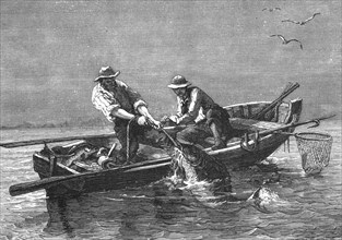 'Hauling in a Drum-Fish; A Flying Visit to Florida', 1875. Creator: Thomas Mayne Reid.