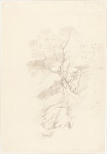 A Beech Wood, 1815. Creator: John Linnell the Elder.