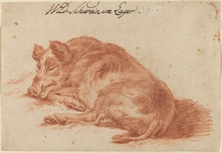 Wild Boar, 18th century.