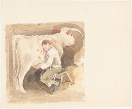 Boy Milking Cow.