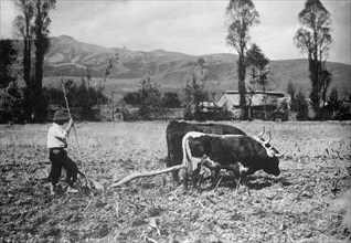 Peru Scenes, 1912. Creator: Harris & Ewing.