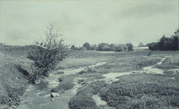 The brook, 1895. Creator: Wallace C. Babcock.