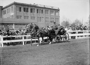 Horse Shows. Teams, 1911.