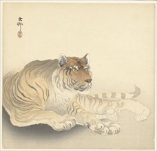 Tiger, 1920-1930. Private Collection.