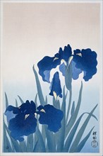 Irises, 1925-1936. Private Collection.