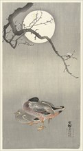 Ducks at full moon. Private Collection.
