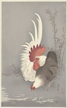 Rooster and chicken. Private Collection.