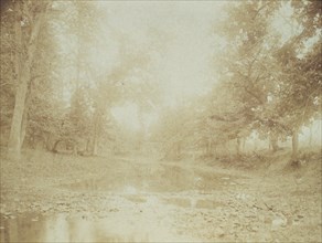 A riverbed in the woods, c1900.