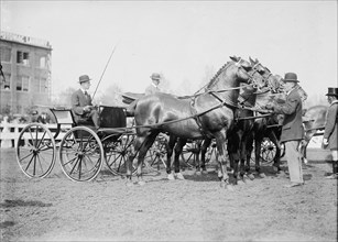 Horse Shows. Judging Team, 1911.