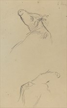 Two Cow's Heads [verso], 1884-1888.
