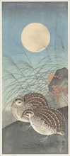 Two quail at full moon. Private Collection.