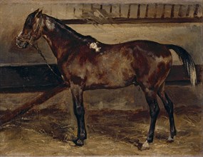 Brown horse in a stable, 1818.