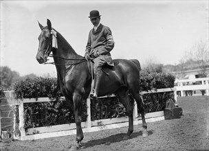 Horse Shows. Julian Morris, 1911.