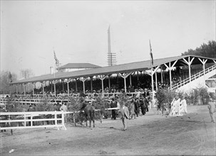 Horse Shows. General Views, 1911.