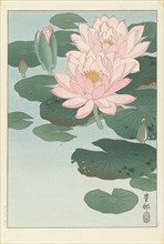 Water Lilies, 1920-1930. Private Collection.