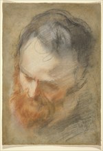 Head of a Bearded Man, 1579/1582.