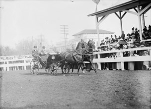 Horse Shows. Mclean Entries, 1911.