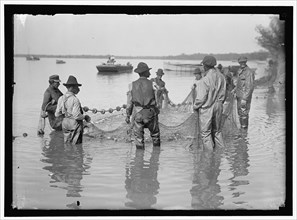 Net fishing, between 1909 and 1923.